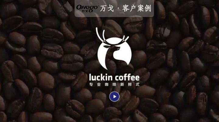 厲害了我的小伙伴！明星級的投入，開50平米小店！