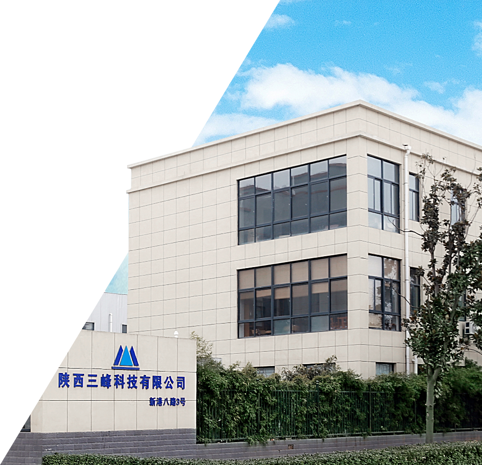 公司實力